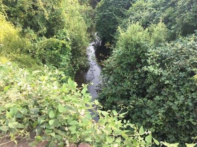 On my walk back up the hill to the pub I came across this delightful little stream, so I thought I’d share a picture with you