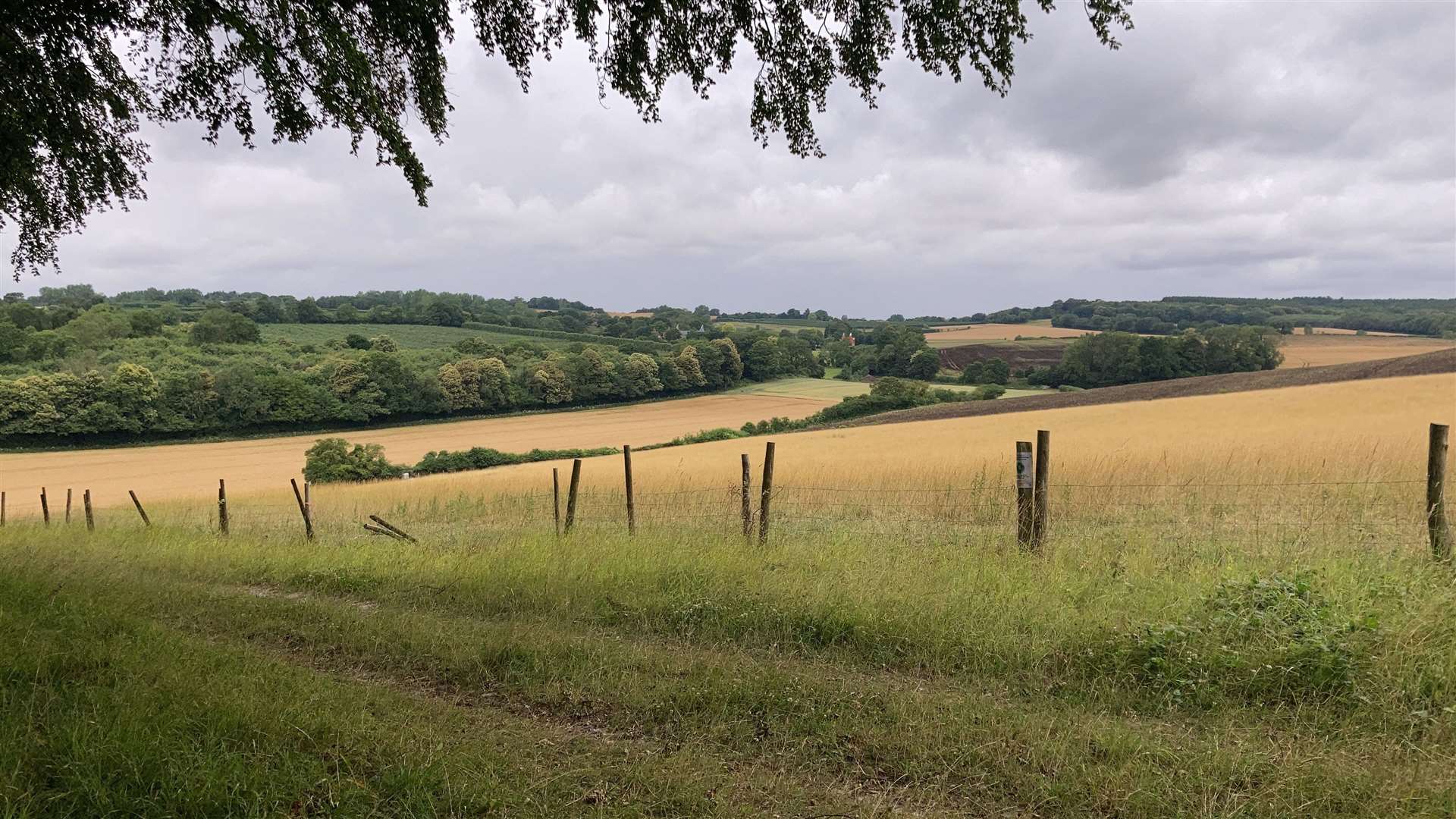 ABC has rejected proposals to build a 114-acre solar farm on land north of Chilham and Old Wives Lees. Picture: SOWLIS