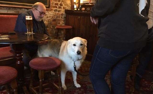 Jasmine is a regular visitor and well known by all the regulars