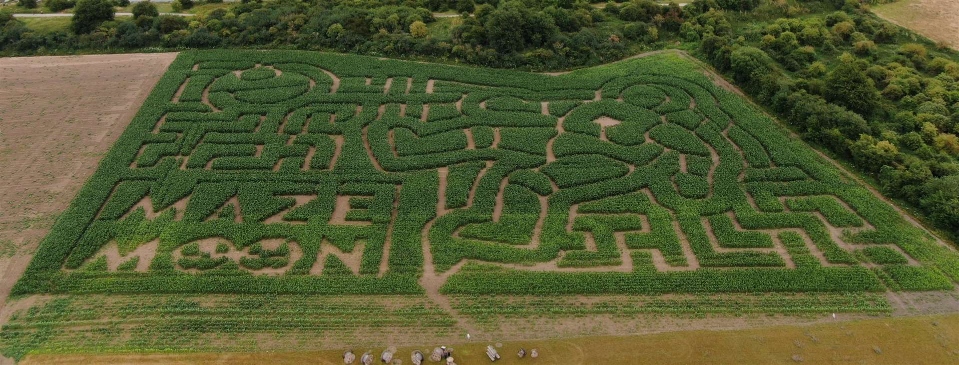 Past themes of the Maze Moon mazes have included minions, a sunflower and a witch on a broom. Photo: James Kemsley