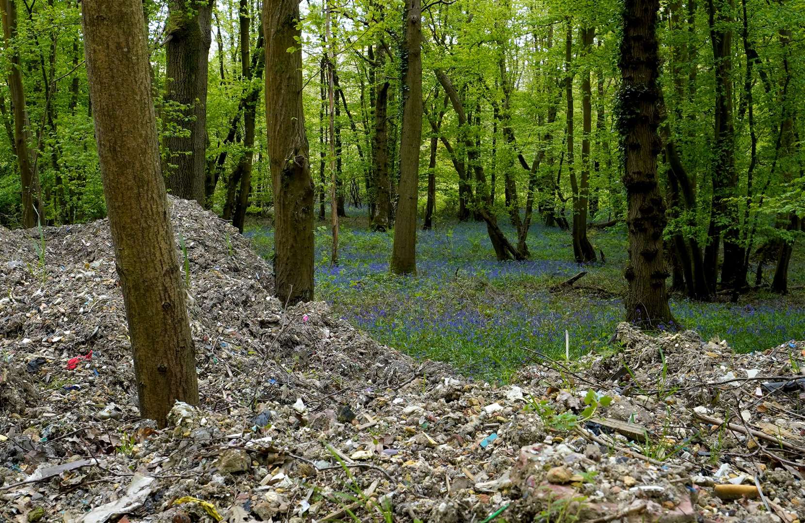 Residents had been reporting illegal waste being dumped in the bluebell woodland until it was closed in January by the EA (Gareth Fuller/PA)
