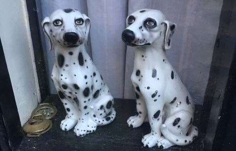 Just some of the spotted dogs you’ll spy if you visit